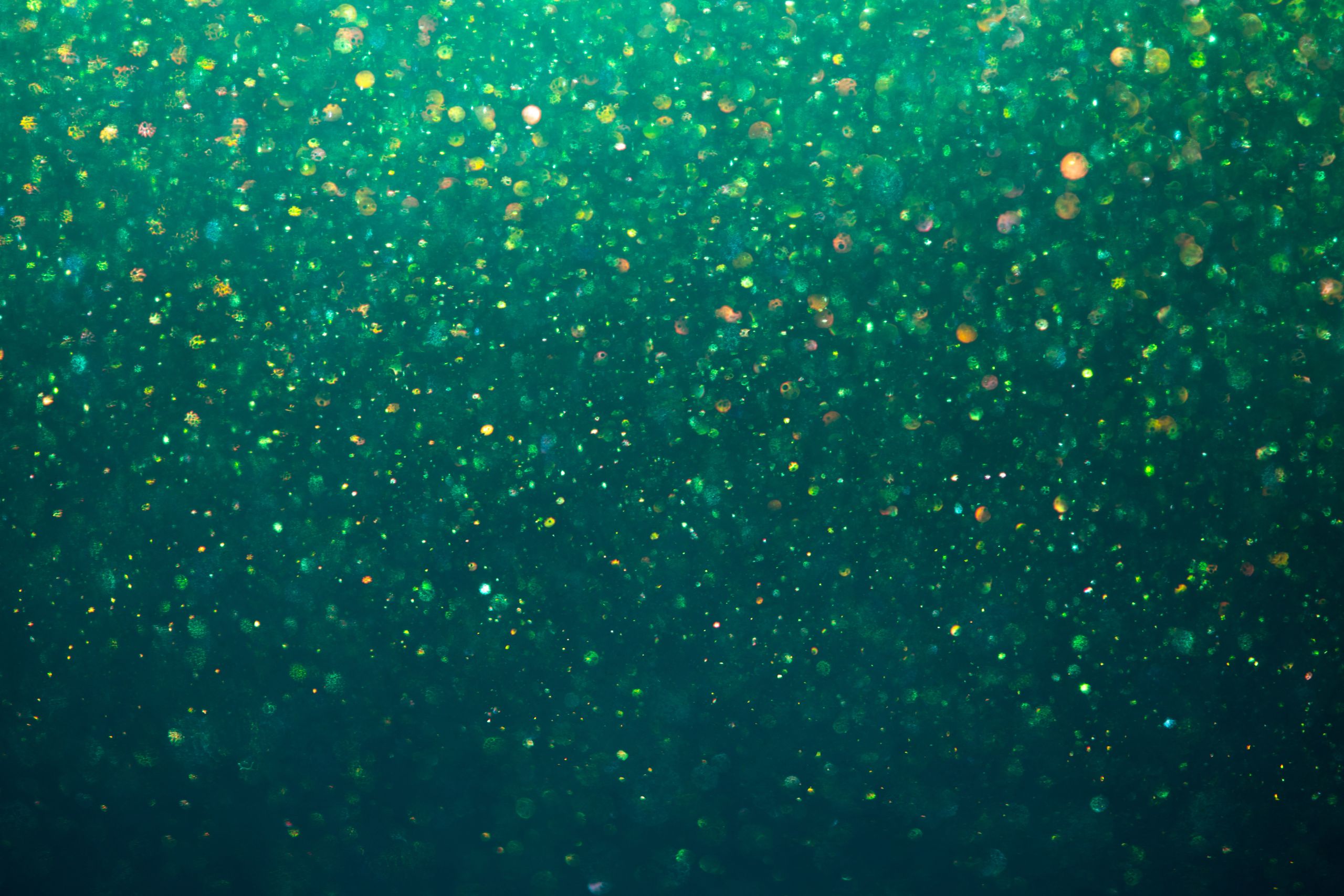 Finding the Magic in Christmas Eve